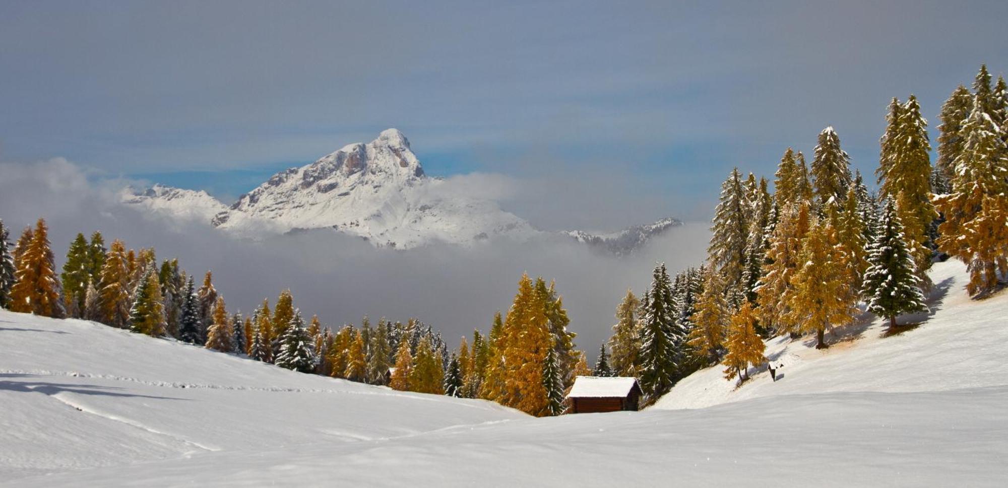 Apartment Ciasa Laoi San Cassiano  Exteriér fotografie