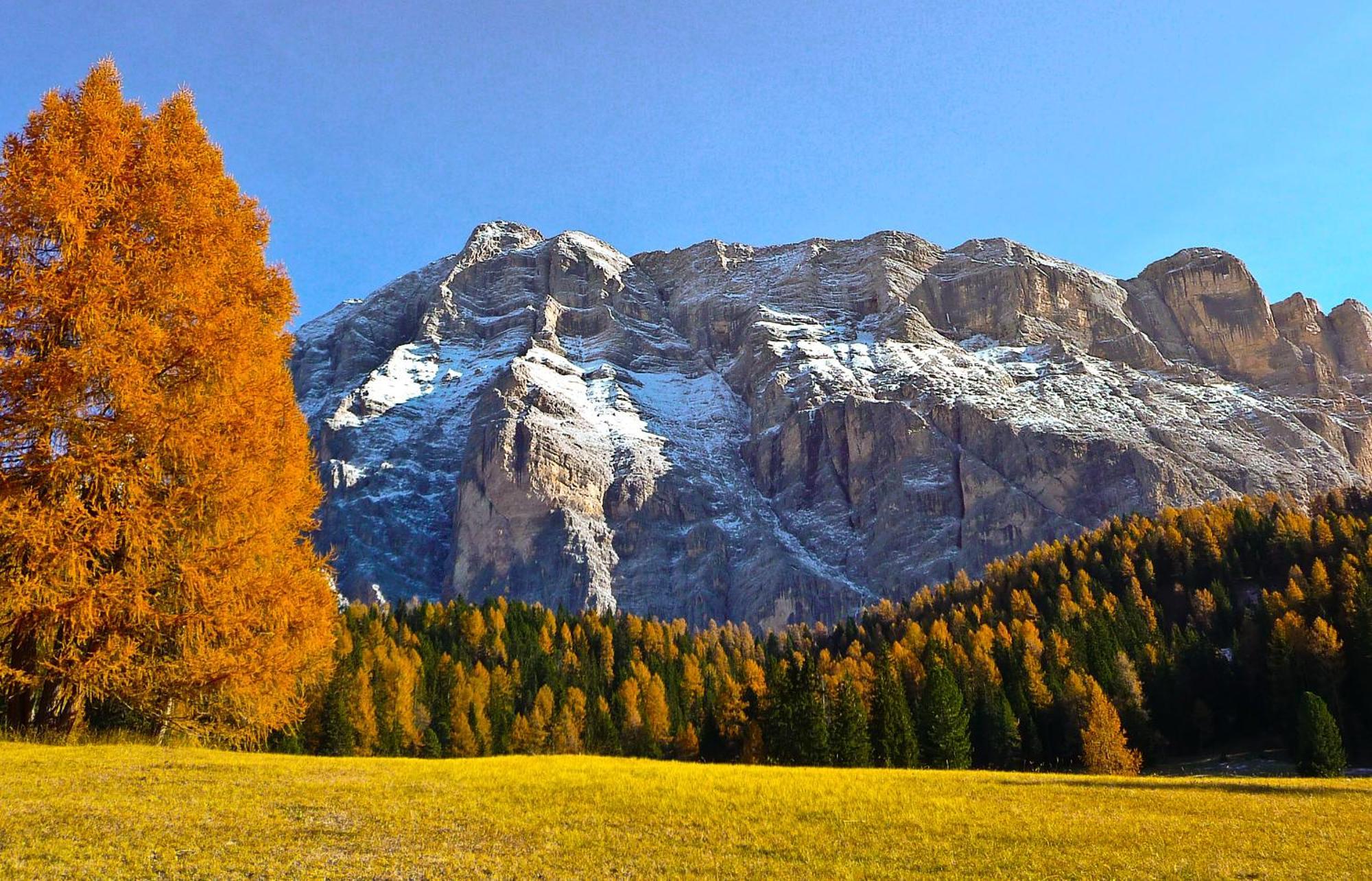 Apartment Ciasa Laoi San Cassiano  Exteriér fotografie