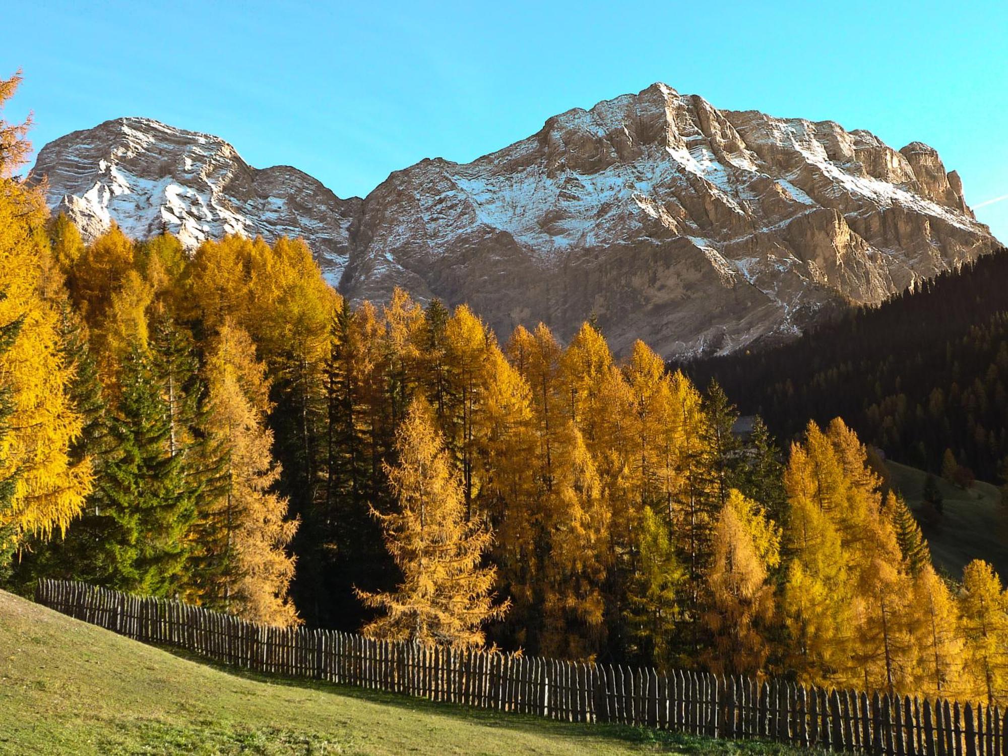 Apartment Ciasa Laoi San Cassiano  Exteriér fotografie
